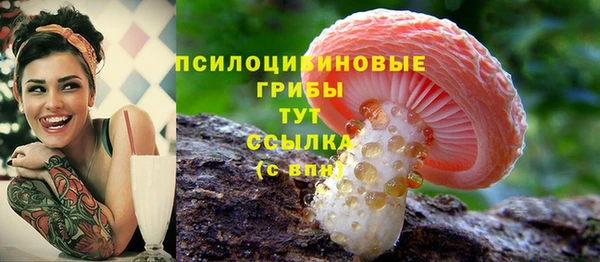 прущий лед Армянск