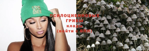 прущий лед Армянск