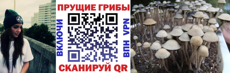 где можно купить наркотик  Красный Кут  нарко площадка телеграм  Галлюциногенные грибы мухоморы 